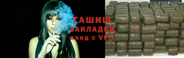 молекула духа Ельня