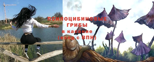 марки nbome Заводоуковск