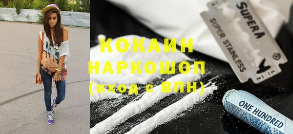 прущие грибы Алексин