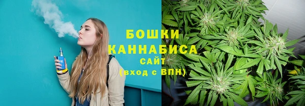 дмт Алзамай