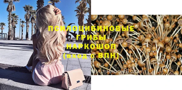 дмт Алзамай