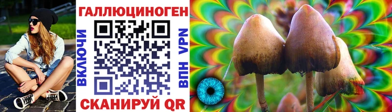 МЕГА ONION  Завитинск  Псилоцибиновые грибы Cubensis 